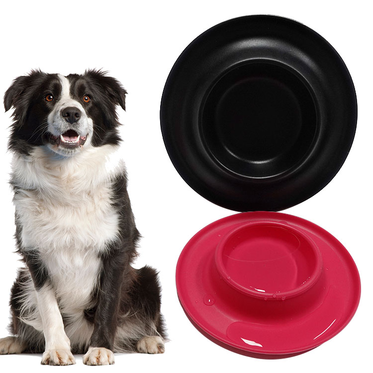 dog feeding bowl